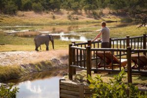 Belmond Savute Elephant Lodge