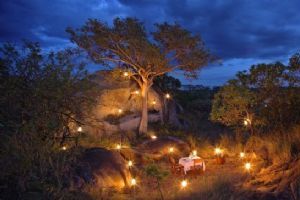 Serengeti Bushtops Lodge