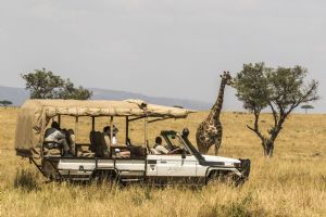 Serengeti Bushtops Lodge