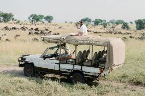 Serengeti Bushtops Lodge