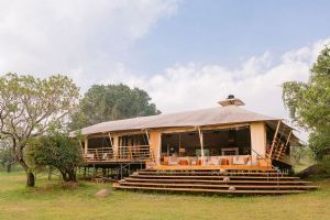Serengeti Bushtops Lodge