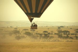 Serengeti Bushtops Lodge