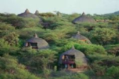 Serengeti Serena Safari Lodge