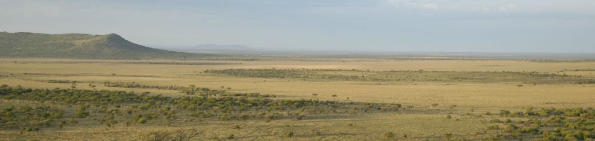 Serengeti Serena Safari Lodge
