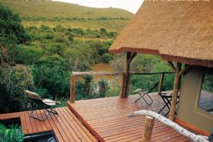 Shamwari Game Reserve