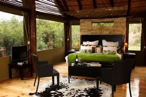 Shamwari Game Reserve