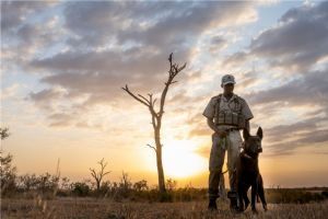 Singita Boulders Lodge