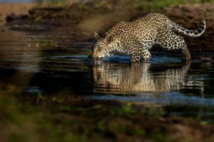 Singita Boulders Lodge