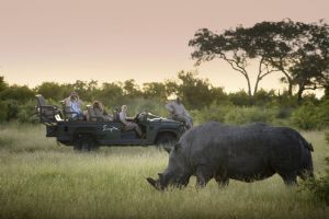 Singita Castleton