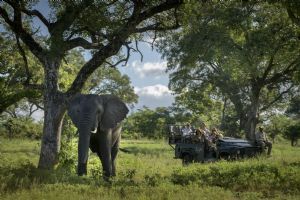 Singita Castleton