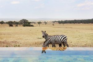 Singita Serengeti House