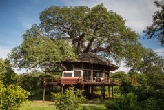 Elewana Tarangire Treetops