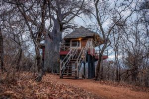 Elewana Tarangire Treetops