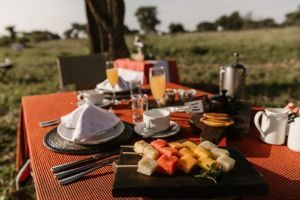 Elewana Tarangire Treetops