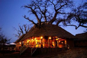 Elewana Tarangire Treetops