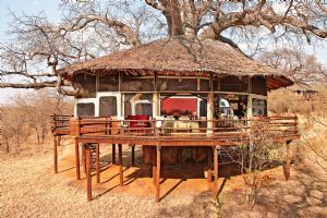 Elewana Tarangire Treetops