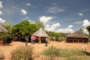 The Elephant Camp, Victoria Falls