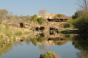 The Wallow Lodge