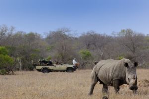 Tintswalo Safari Lodge