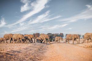 Elewana Tortilis Camp Amboseli