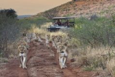 Tuningi Safari Lodge