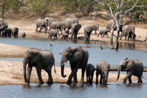 Ulusaba Private Game Reserve