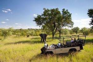 Ulusaba Private Game Reserve