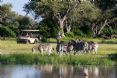 Wilderness Vumbura Plains