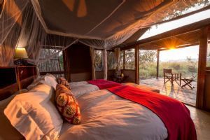 Wilderness Busanga Bush Camp