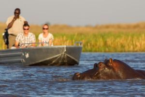 Wilderness Busanga Bush Camp