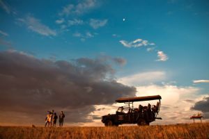 Wilderness Desert Rhino Camp