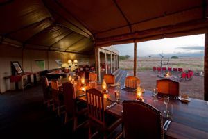 Wilderness Desert Rhino Camp