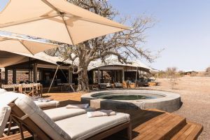 Wilderness Desert Rhino Camp
