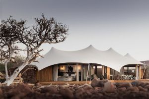 Wilderness Desert Rhino Camp