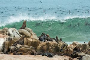 Wilderness Hoanib Skeleton Coast Camp