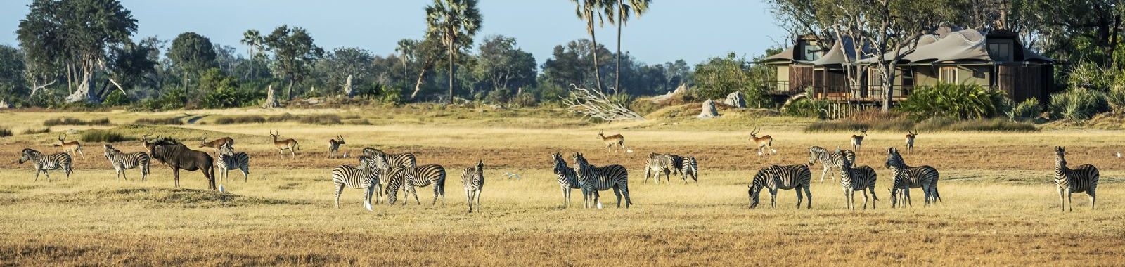 Xigera Safari Lodge