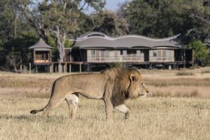 Xigera Safari Lodge