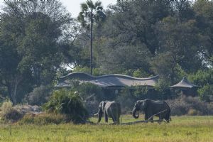 Xigera Safari Lodge