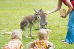 Australia Zoo