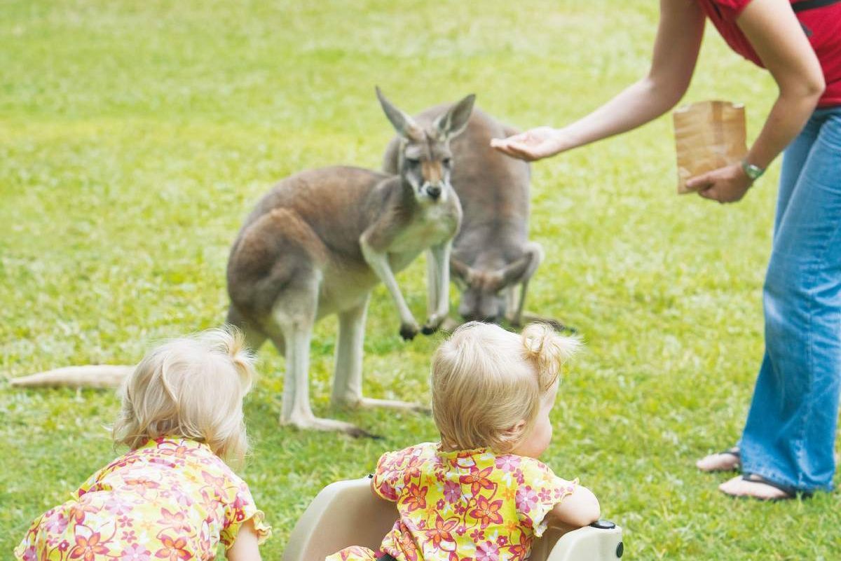 Australia Zoo