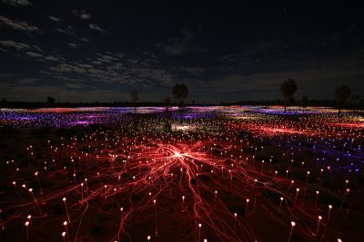 A Night at Field of Light