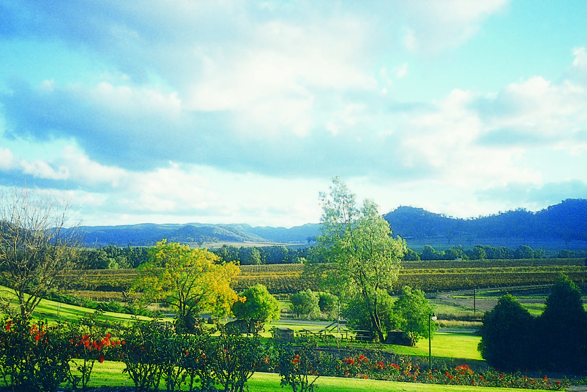 Hunter Valley Tour