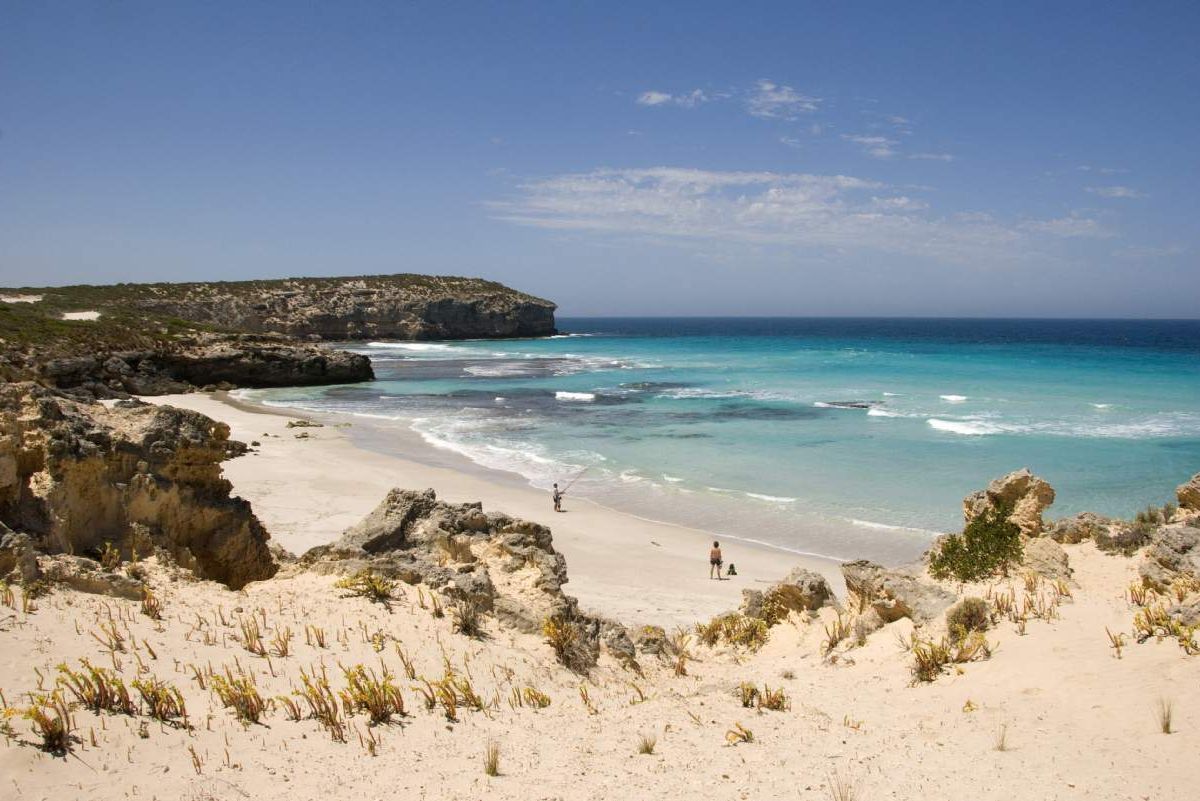 Kangaroo Island Sealink 