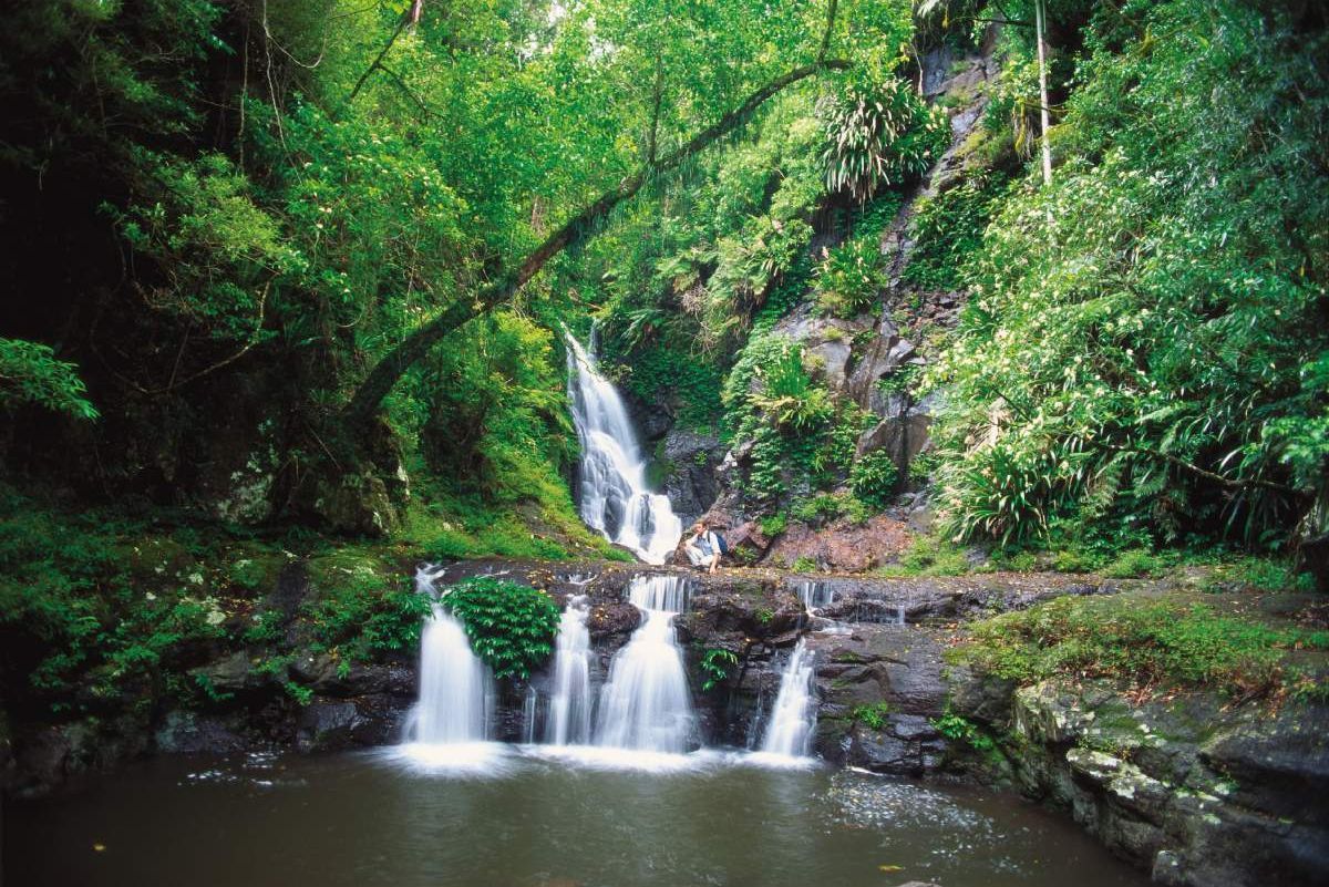 O'Reilly's & Lamington National Park