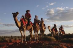 Camel to Sunrise