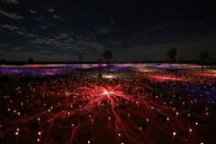 A Night at Field of Light