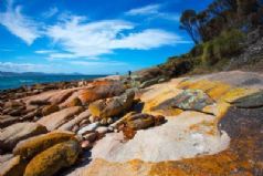 Freycinet Experience