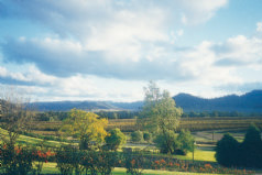 Hunter Valley Tour