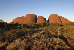 Kata Tjuta Sunrise Tour