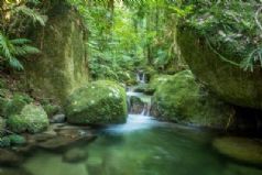 Mossman Gorge Centre